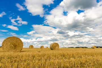 Hay bales on the field after harvest. Agricultural field.