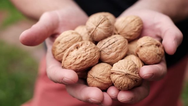 Woman giving walnut to her friend. Element of right diet