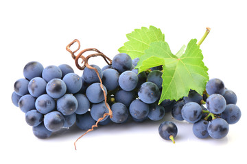Grapes on a white background