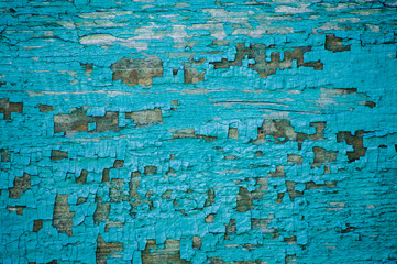 Cracked blue paint on a wooden surface closeup texture
