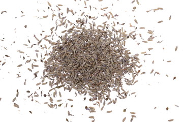 Dry lavender pile isolated on white background, top view