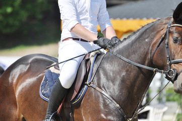 Reitsport, auf dem Parcours reiten Springpferd mit Reiter beim Reitturnier, im Dateil