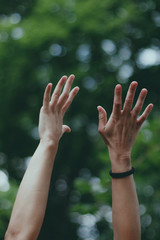 Two hands are drawn to a tree with green leaves. Summer shot. Vertical shot.