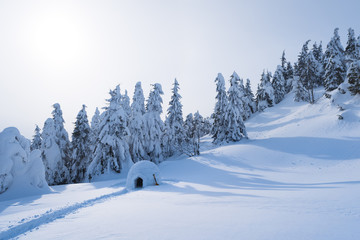 Winter landscape with a snow igloo