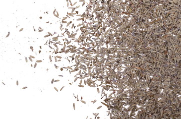 Fototapeta premium Dry lavender pile isolated on white background, top view