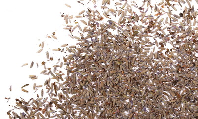 Naklejka premium Dry lavender pile isolated on white background, top view