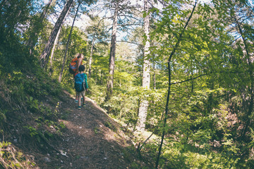 Obraz premium A woman and her child walk along a forest trail.