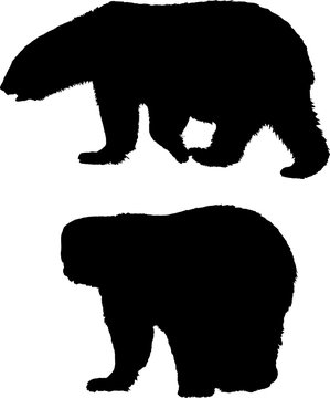 two polar bears isolated black silhouettes