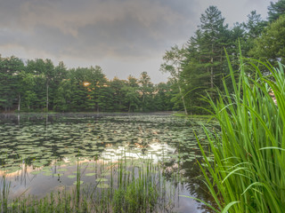 Silver Lake in Sullivan County