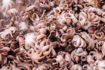 Baby octopus  are roasting in a wok at the festival of street food market. close up
