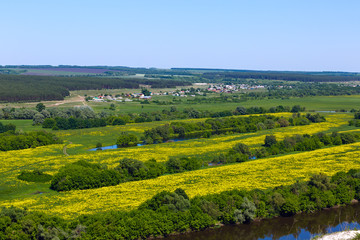 Fototapeta na wymiar Landscape in the valley of the Don River in central Russia. Top view of the spring coastal forest and pond.