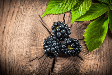 Blackberry leaf on vintage wooden board