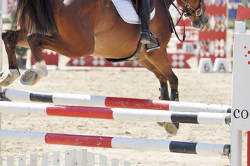 Der Hindernissprung beim Springreitsport, das Springpferd setzt mit einem Steilsprung über die...