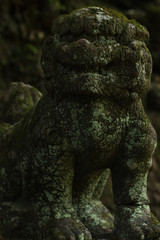 Fototapeta na wymiar 神社の狛犬の石像