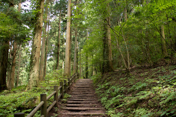 皿ヶ嶺の登山口