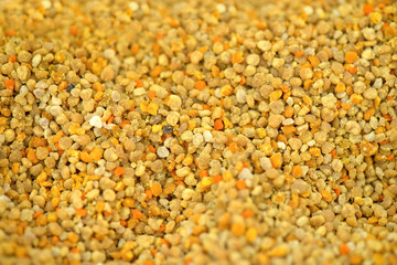 Abstract bright background of bee pollen texture. Fresh recently collected bee pollen sold at local state fair. Health benefits of bee products, natural ingredient for many recipes