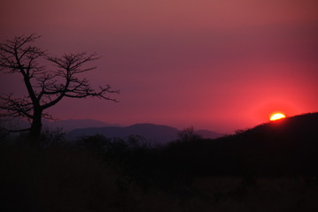 Fototapeta na wymiar Sunset and Baobab Silhouette in Serra da Chela, Angola