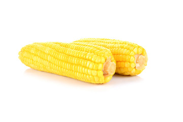 Corn isolate on white background