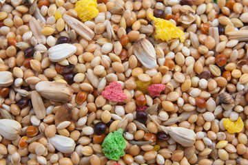 Bird seed mix