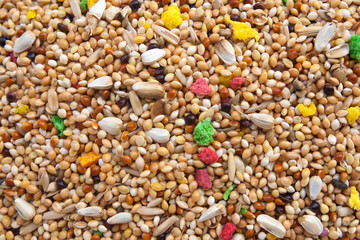Bird seed mix