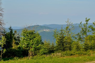 Spring mountain landscape. A beautiful view of the green hills.