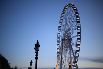 Ferris wheel in park in Paris