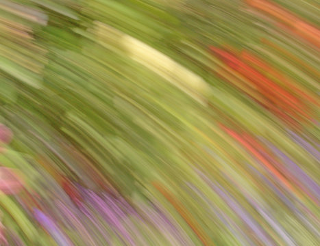 floral abstraction with green  semicircularl line, background;