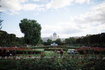 Rose garden