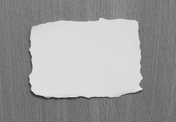 pieces of torn paper texture background, copy space.