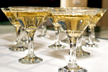 Several glasses of famous cocktail Martini, shot at a bar with shallow depth of field