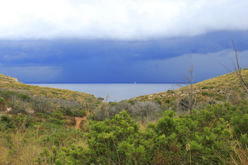 Sentiero cimitero inglese, Golfo Aranci Olbia Sardegna, Italia