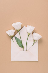 Fototapeta premium Top view of white eustoma flowers in envelope on beige background