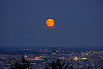 Vollmond in der Stadt Wien