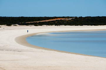 Shell Beach - Shark Bay - Western Australia