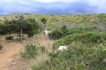 Lapidi situate nel cimitero inglese presso Golfo Aranci, Cala Moresca, Sardegna, Italia