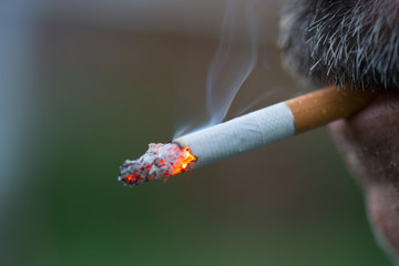 Man smoking a cigarette. Cigarette smoke spread. Healthy lifestyle