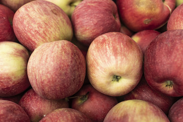 Red ripe apples on the market. Autumn harvest