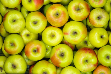 Green apples