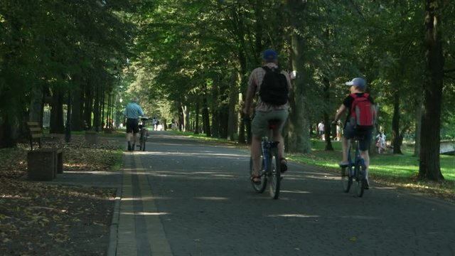 People ride a bicycle in a park amongst green trees in a summer sunny day