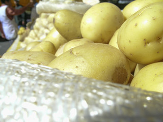 Sao Paulo, Brazil, August 13, 2003 fresh potatoes on a street market