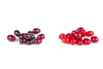 Cornels isolated on a white background
