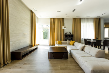 interior of empty modern living room with sofa and lamp