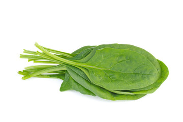 Bunch of green spinach