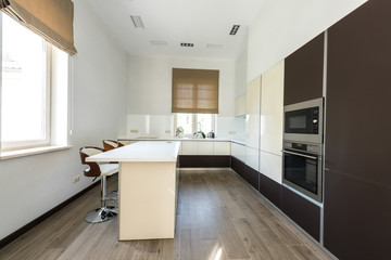 interior view of empty modern kitchen