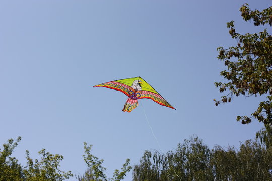airy zey