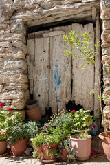 Rustic door and flowers