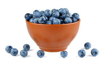 Blackthorn berries in brown clay bowl