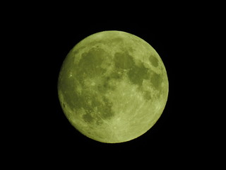 明日は満月、月齢14の月