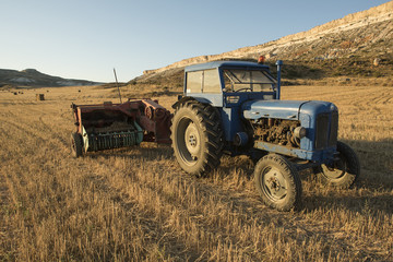 Fototapeta premium Old tractor in the field