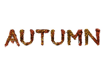 3d illustration letters autumn with red yellow leaves 3d render